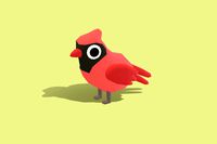 Cardinal - Quirky Series