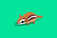 Chipmunk - Quirky Series
