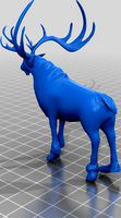 Stag- Travel form by Angelofdore