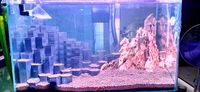 Hexagon aquascape Block by amaniza2010