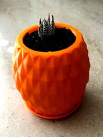 Pineapple Pot with Drainage Holes and Tray by mr_walker