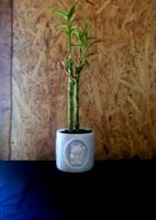 Lucky Cat Planter Pot by AzzzTech