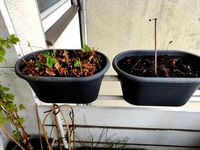 Securing for balcony rail planting pots by Dennispelle