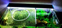 Barrera flotante acuario (floating barrier aquarium) by md2014