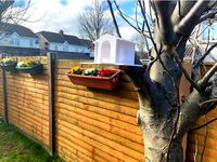 Bird House by TomDavies98
