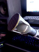 Microphone Pop Filter / Screen / Shield | (Shure SM58 style Mic.) by NoWayCall