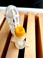 Bienen Königin Aufzucht Käfig / Honey Bee Queen Cage by Explorator