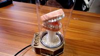 3D Motorized - Rotating TEETH Display by ToddsWorld