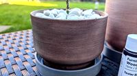 Plant Pot Short by letsmsk