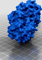 Cytochrome P450 3A4 by hectorsm