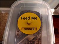 Meal Wheel by tlesher