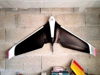 Parrot Disco hook by aeropic