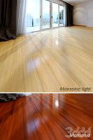 mansonia and mansonia light