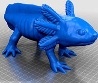 Axolotl by stephengregory