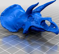 triceratops skull by Mr_Tanker08