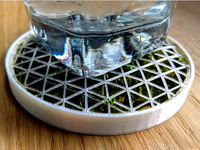 Moss Coaster by saturdayxiii