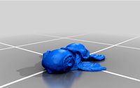 Turtel (3D Scanned) by Dream_Design_Print
