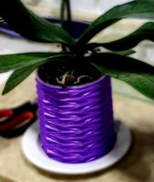 ZigZag Pot by eyalww