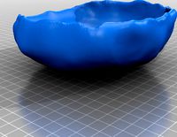 bearded dragon food bowl by Tzumz25