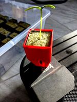 1.5" Rockwool Cube Plant Holder by bobhinkle