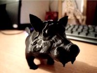 Wolf by AlexStormND