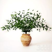 Green leaves