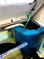 Airlifter filter system by gobo38