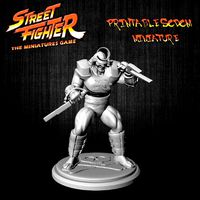 Printable SODOM miniature for Street Fighter Miniatures Game by Zyruss3300