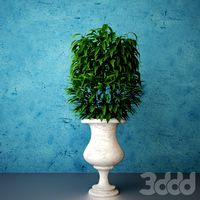 Vase Of Leaves