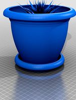 Anna Vanyan-Vase and cactus by Armath-Berd