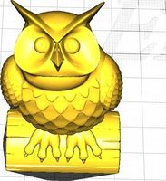 owl looking up by kendoodle