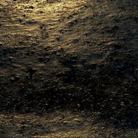 Muddy Ground With Pebbles
