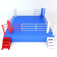 Boxing Ring 23d model