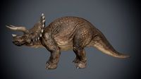 Triceratops3d model