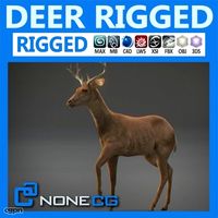 Rigged Deer3d model