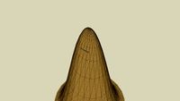 The Sombrero