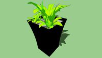 planter with fern