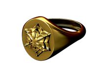 Oval signet ring with Corola Flower Rosette  | 3D
