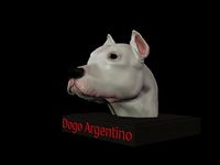 Dogo Argentino Bust | 3D