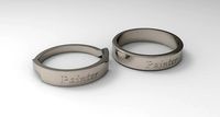 Painter Couple Ring Platinum | 3D