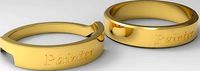 Painter Couple Ring Gold | 3D
