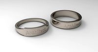 Architect Couple Ring Platinum | 3D