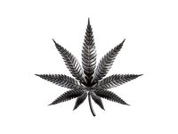 Hemp cannabis leaf 3D print model | 3D