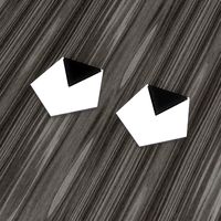 Pentagonal Earrings | 3D