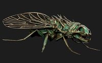 Cat Skull Demon Fly
