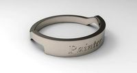 Painter Female Ring Platinum | 3D