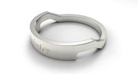 Painter Female Ring Silver | 3D