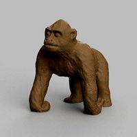 Gorille | 3D