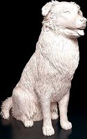 Australian Shepherd | 3D
