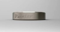 Painter Ring Platinum | 3D